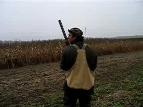 Caccia al Fagiano, Il Frullo..