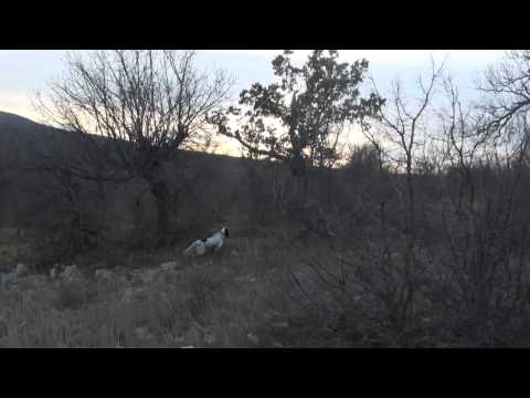 Addestramento in Croazia