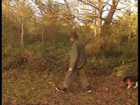 A Caccia con il beagle