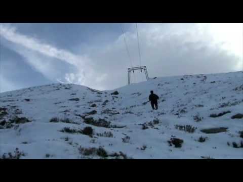 Forcello: Caccia al Gallo Forcello nelle Alpi