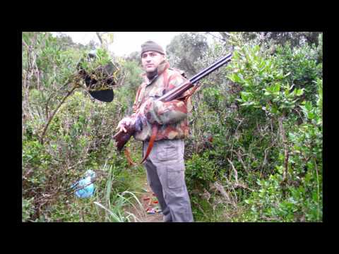 Caccia ai Tordi in Sardegna