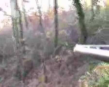 Beccaccia che Passione