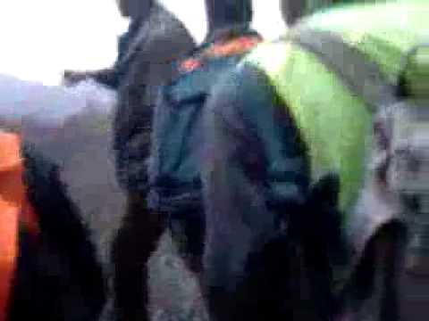 Apertura Caccia al Cinghiale