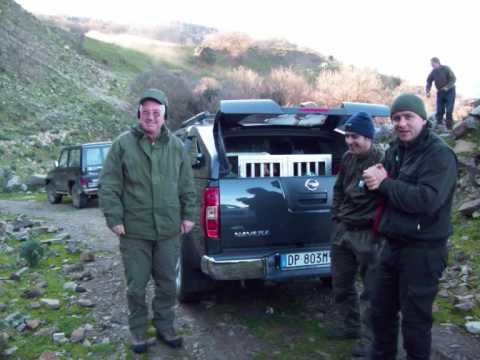 Caccia al Cinghiale in Sicilia