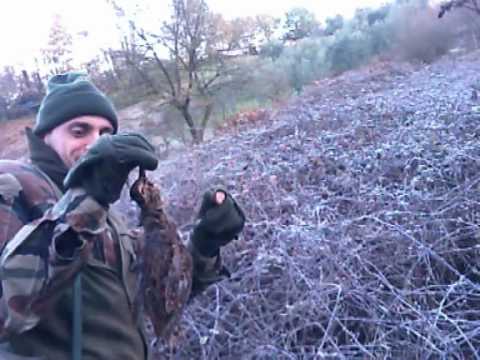 CACCIA ALLA BECCACCIA