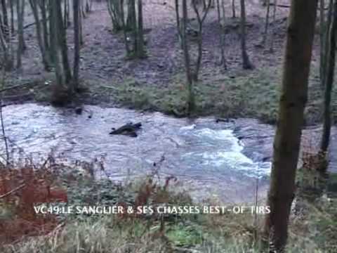 La Caccia al Cinghiale