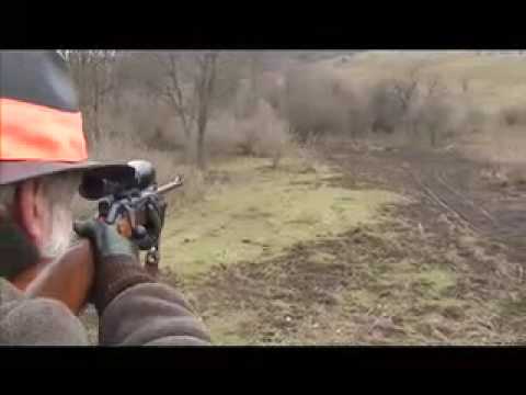 CACCIA AL CINGHIALE IN UNGHERIA