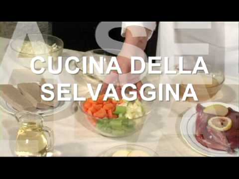 Caccia Mista : Documentario