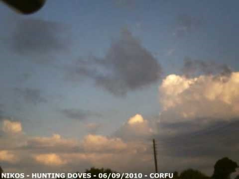 Caccia alla Tortora in Grecia