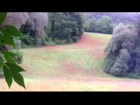 Caccia al Cinghiale : Padella in diretta!