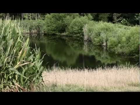 REMINGTON VERSA MAX : NUOVO FUCILE DA CACCIA