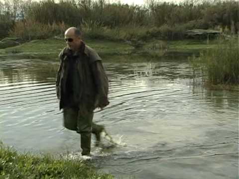 CACCIA AGLI ACQUATICI NELLE MARCHE