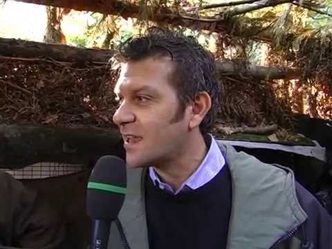 Colombacci: Caccia ai Colombacci nelle Marche