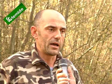 Caccia al Colombaccio