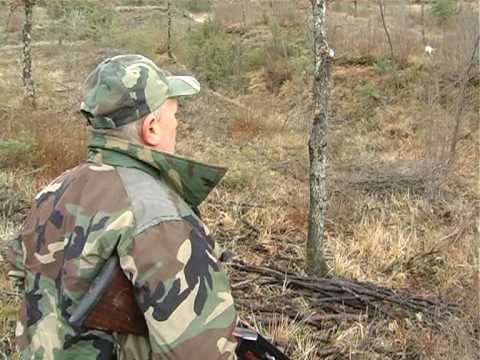 Caccia, beccaccia e pernice nelle Marche