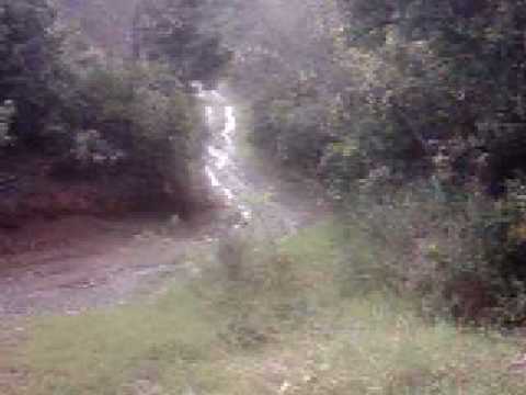 Ariegeois: Caccia al Cinghiale con \’lAriegeois