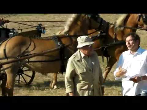 Game Fair 2010 – Tarquinia