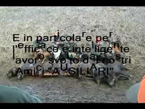 Caccia al Cinghiale