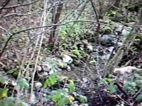 CACCIA ALLA BECCACCIA