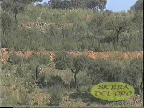 CACCIA AL CONIGLIO IN SPAGNA