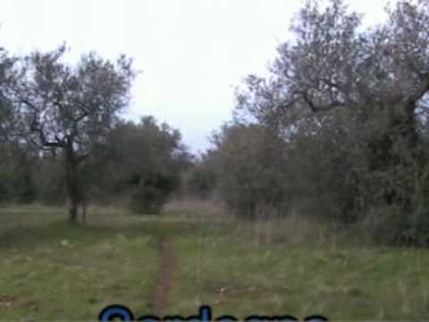 CACCIA AL CONIGLIO IN SARDEGNA