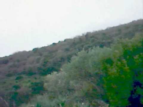 CACCIA ALLA BECCACCIA IN SARDEGNA