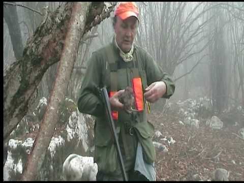 Caccia alla Beccaccia