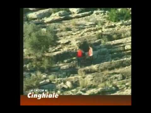 Caccia al Cinghiale in Tunisia