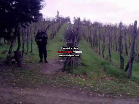 CACCIA AL TORDO SASSELLO