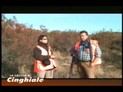 Caccia al cinghiale con gilet protettivo arancione