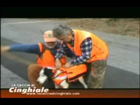 La Caccia al Cinghiale Gilet Protettivo
