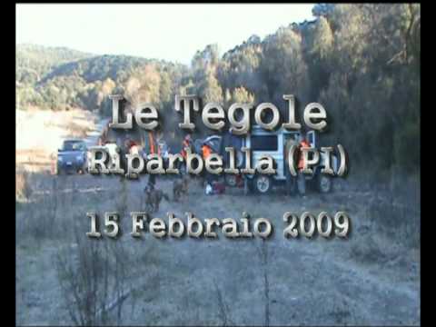 BATTUTA DI CACCIA AL CINGHIALE 2009