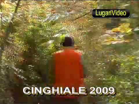 CACCIA AL CINGHIALE 2009