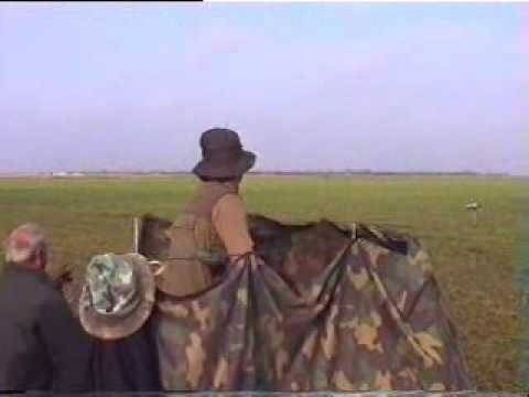 CACCIA ALLE ALLODOLE