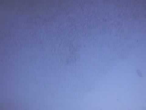 Storni in volo a Roma.