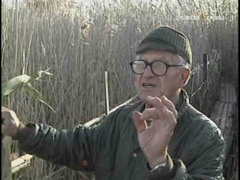 Caccia agli aquatici nei pantani di Pachino – Seconda Parte – 2/3