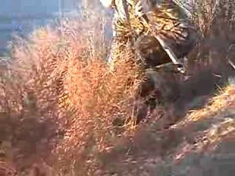 Caccia alle Anatre all’Estero – Duck Hunting