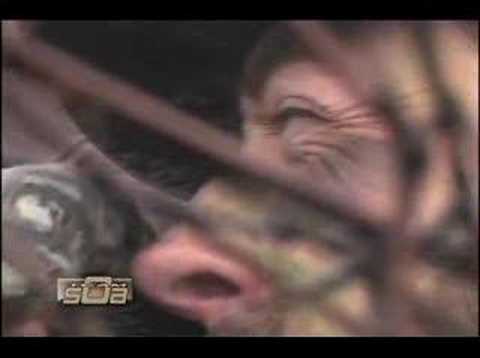 Duck Commander’s Cut’em All Jack