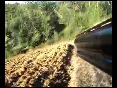 Giornate di Caccia – P.ta 2 – 21 Settembre 2008 – 2di2