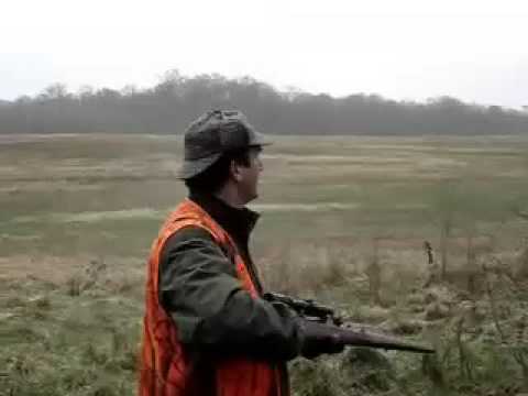 Chasse Bolero