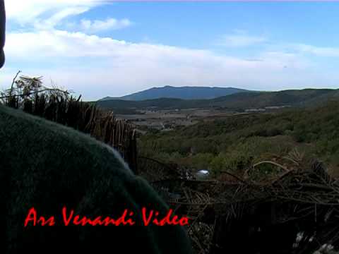 CACCIA AL COLOMBACCIO