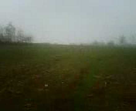 SEGUGI  SU LEPRE – CACCIA ALLA LEPRE CON SEGUGIO