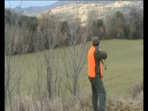 Caccia al cinghiale – 18-01 Pienza (si) La squadra dei Monti