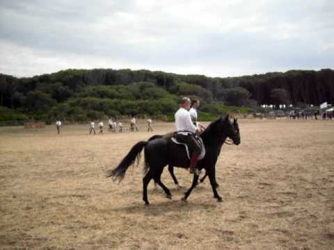 Game Fair Tarquinia 2009
