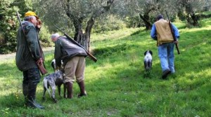 Arci Caccia Toscana