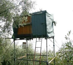 Capannisti trentini