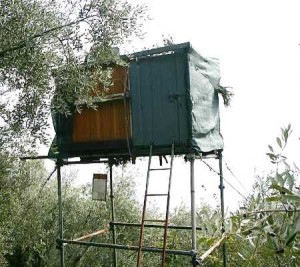 Caccia in Trentino