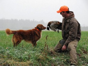 Retrievers Championship