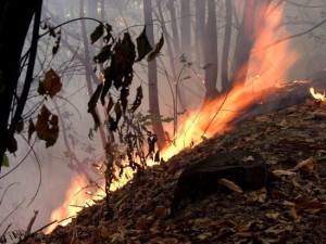 A fuoco un capanno di caccia 