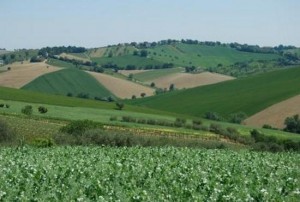 Calendario venatorio delle Marche